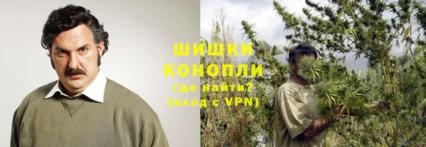 ГАЛЛЮЦИНОГЕННЫЕ ГРИБЫ Абдулино