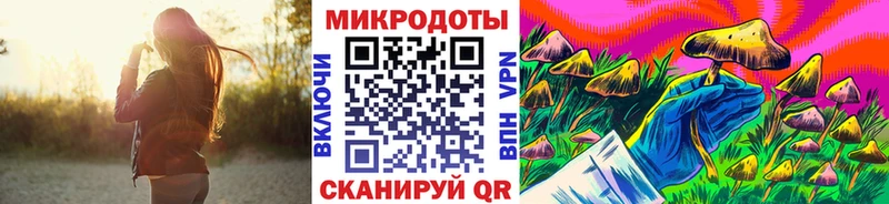 наркотики  Собинка  Галлюциногенные грибы Psilocybine cubensis 