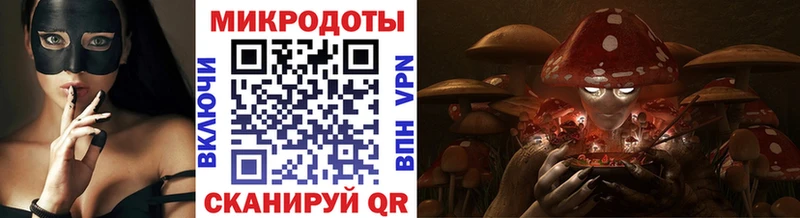Галлюциногенные грибы Psilocybine cubensis Собинка